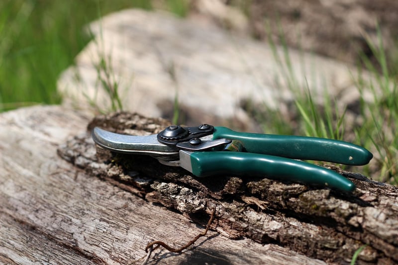 Wizard Pruning Shears